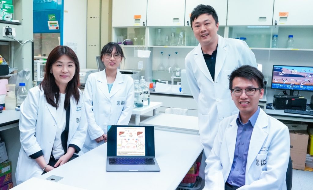 港大醫學院識別肝癌抗藥性關鍵蛋白 研發抑制劑提升療效防復發
